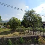 Il Moro di Savoja